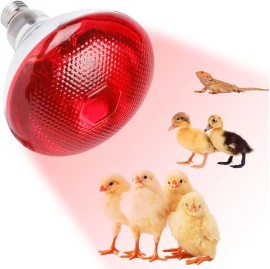 Lampada infrarossi Incandescenza 250 W  E27 1000K