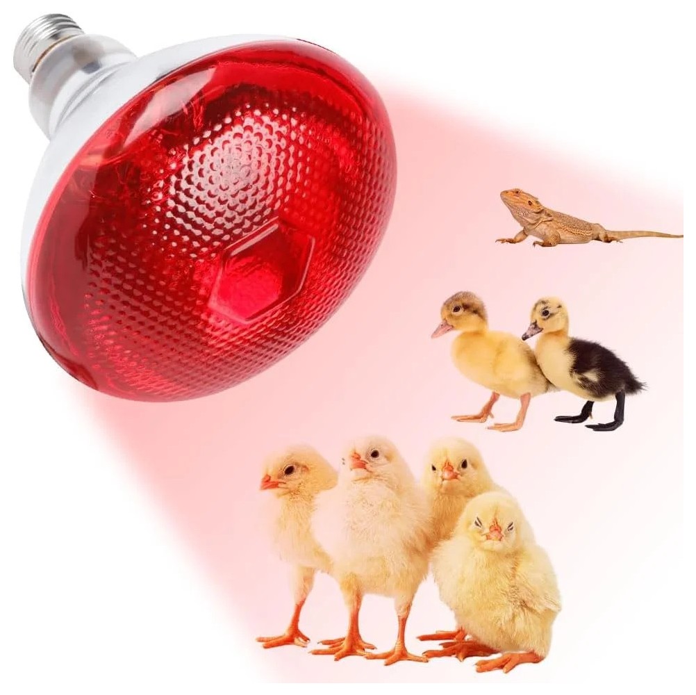 Lampada infrarossi Incandescenza 250 W  E27 1000K