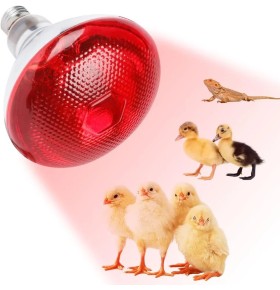 Lampada infrarossi Incandescenza 250 W  E27 1000K